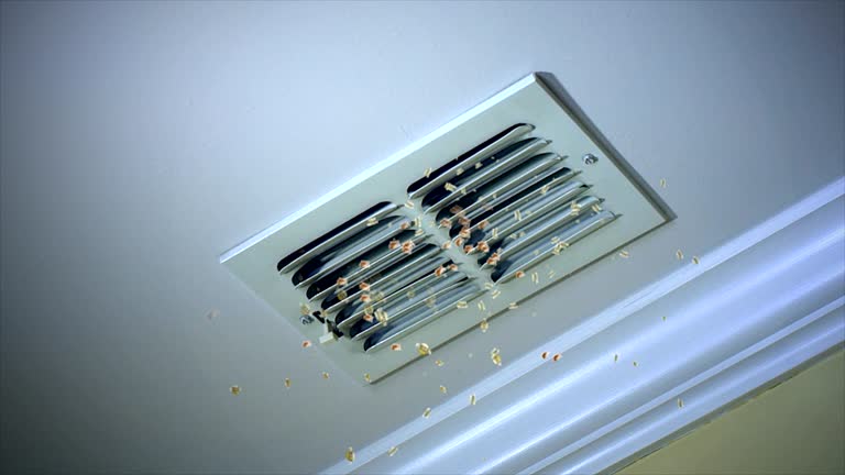 Best Affordable Air Duct Cleaning  in Presquille, LA