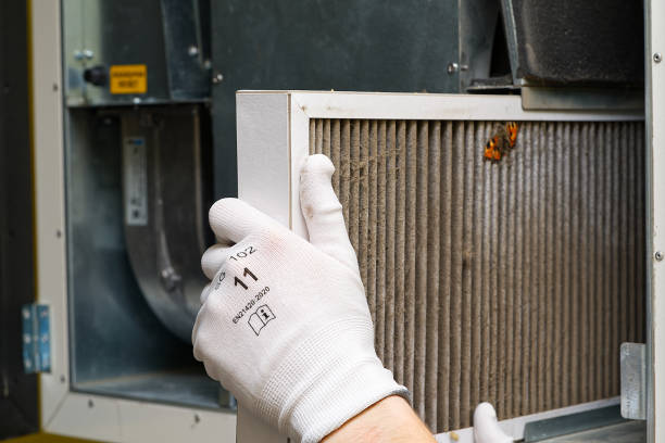 Best Local Air Duct Cleaning Services  in Presquille, LA