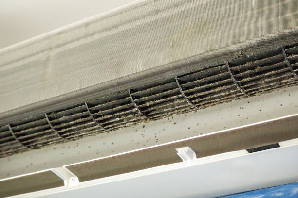 Best Affordable Duct Cleaning Services  in Presquille, LA