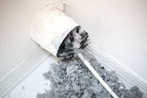 Best Affordable HVAC Duct Cleaning  in Presquille, LA